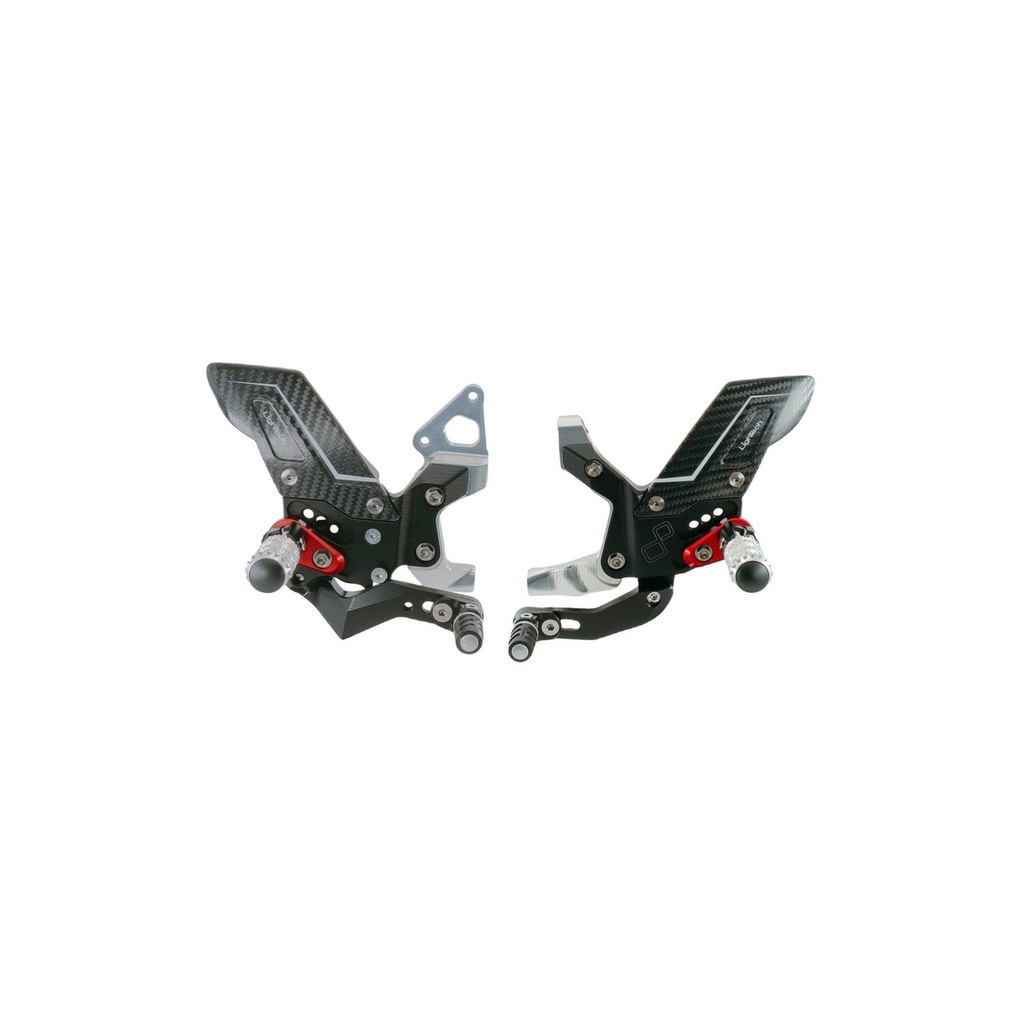 [LT-FTRDU015R] R Version Rear Sets for Ducati