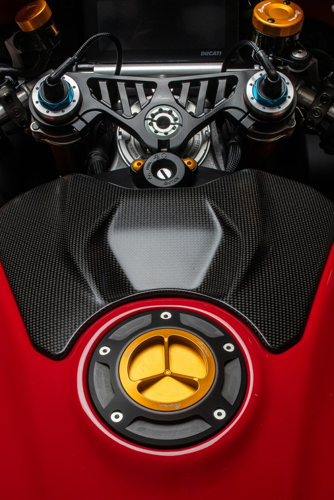 TFN229ORO_MOUNTED_1.jpg