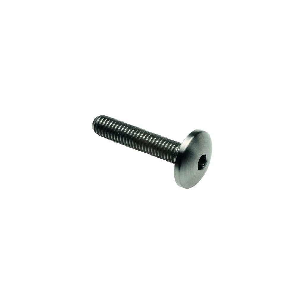 [LT-T003M6020] Button Head  Tit. G.5 Cl 003 M6 L. 20 Head Ø17  Titanio 6al4v Gr.5