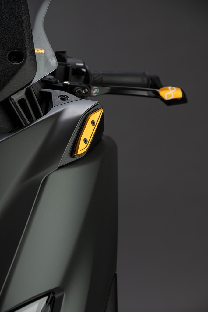 SPEY08ORO_MOUNTED_1.jpg