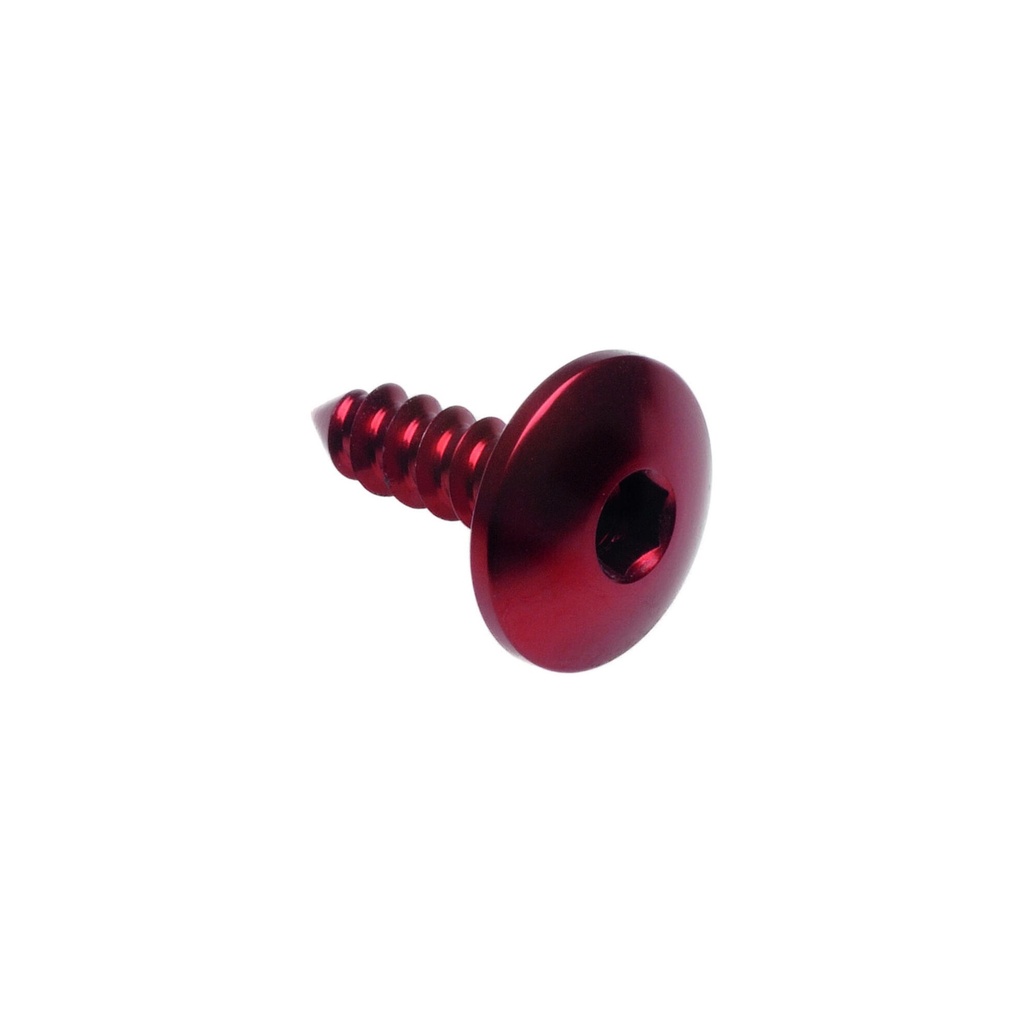 [LT-PAC35519NER] Self Tapping Screw 003 D=5,5x19 Ergal (Nero)