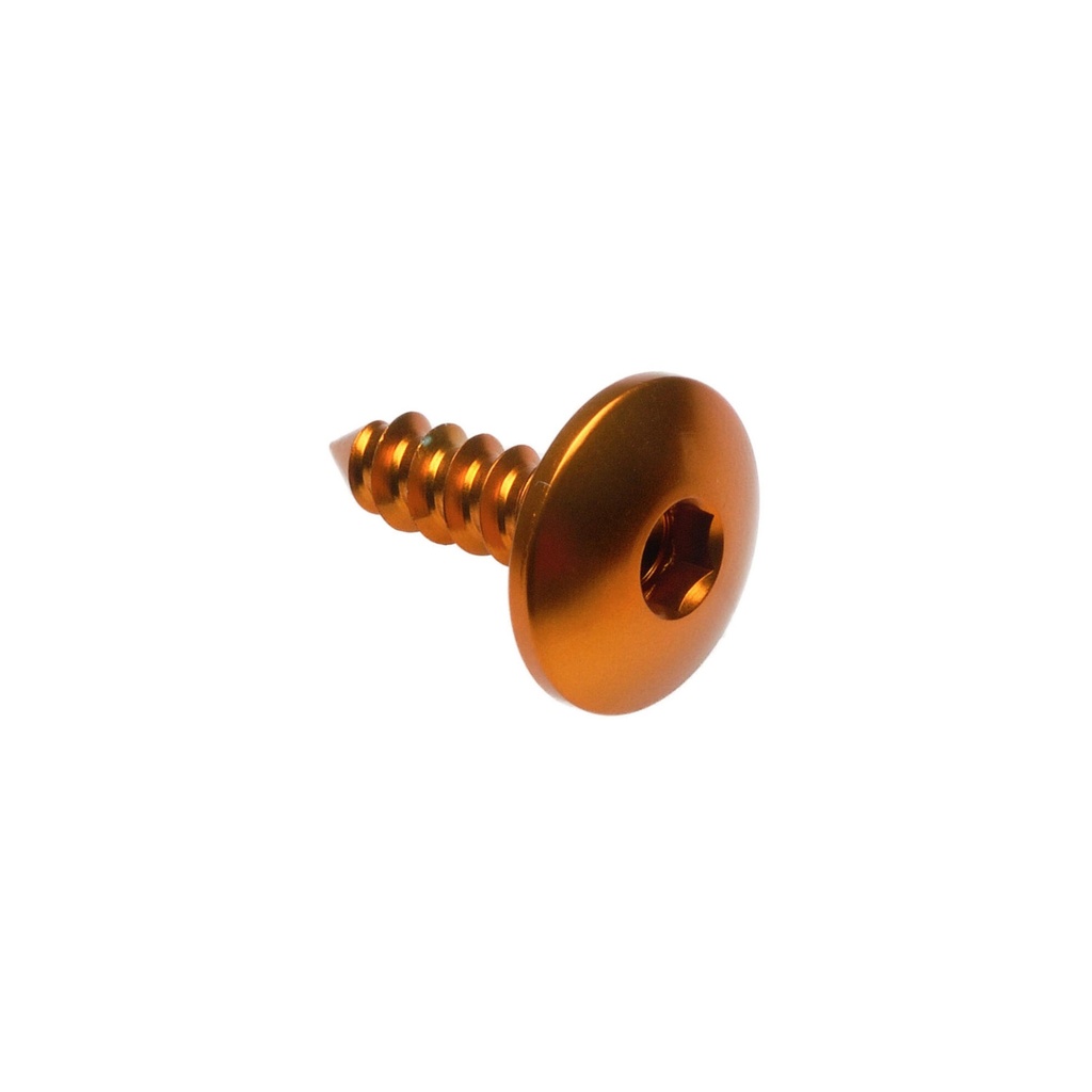 [LT-PAC34913ORO] Self Tapping Screw 003 D=4,9x13 Ergal (Oro)