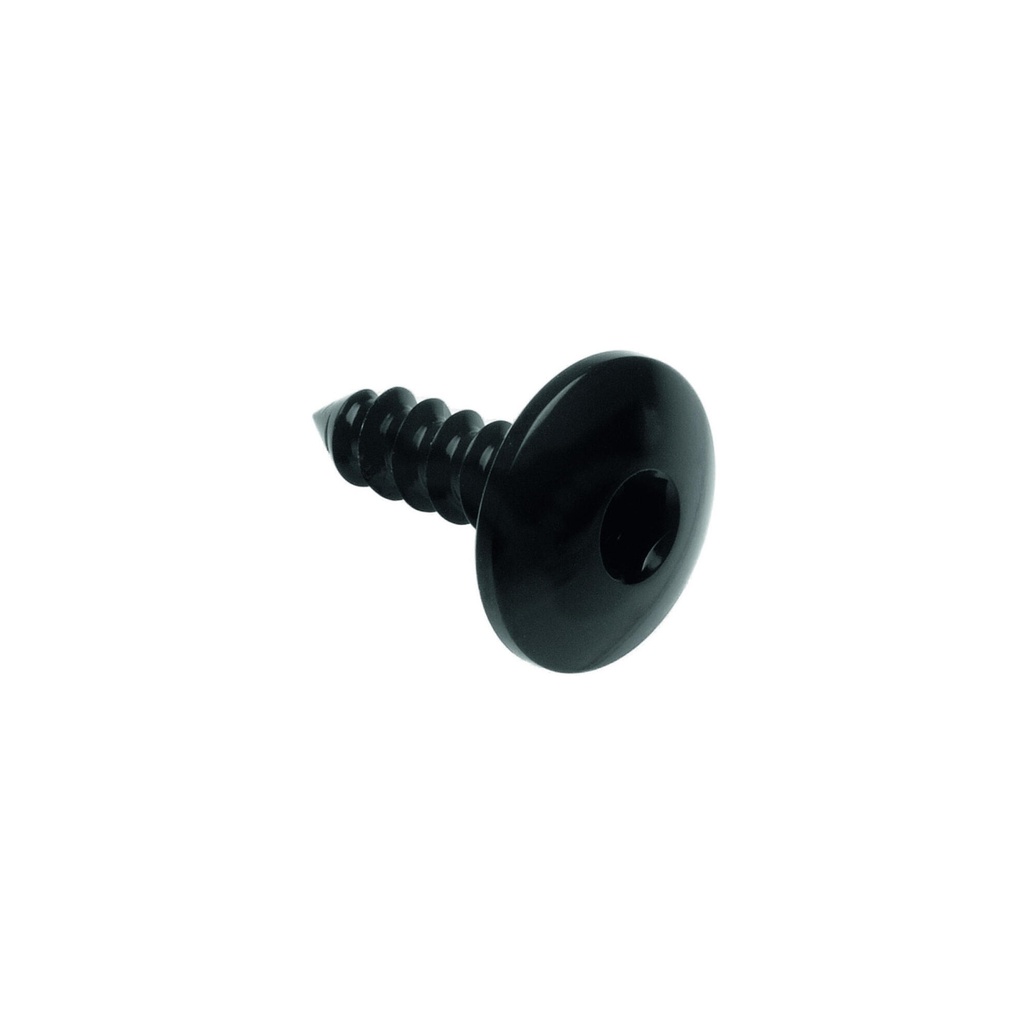 [LT-PAC34516NER] Self Tapping Screw 003 D=4,5x16 Ergal (Nero)