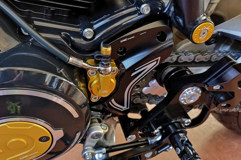 CP174B_mounted_2.jpg