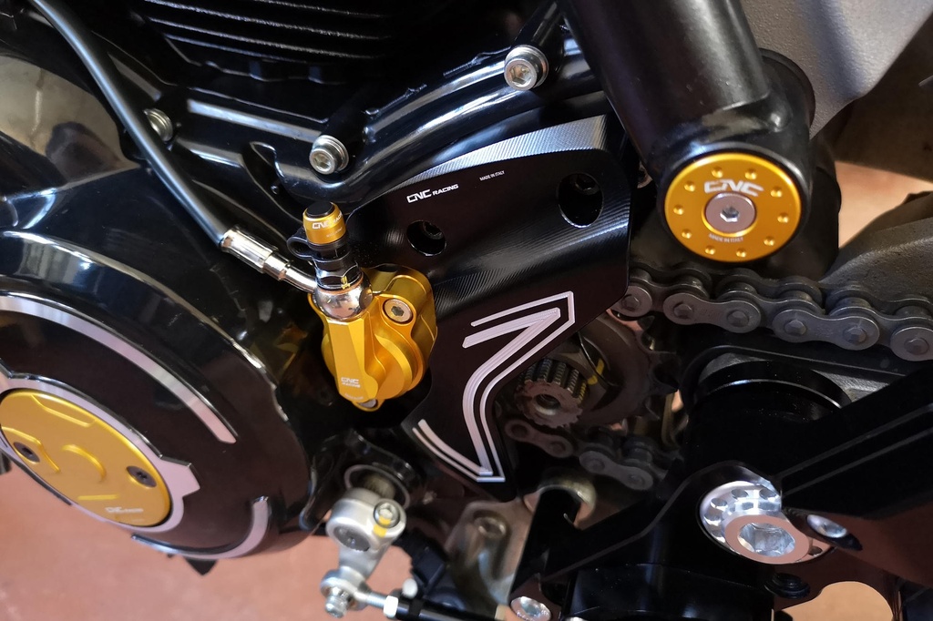 CP174B_mounted_1.jpg