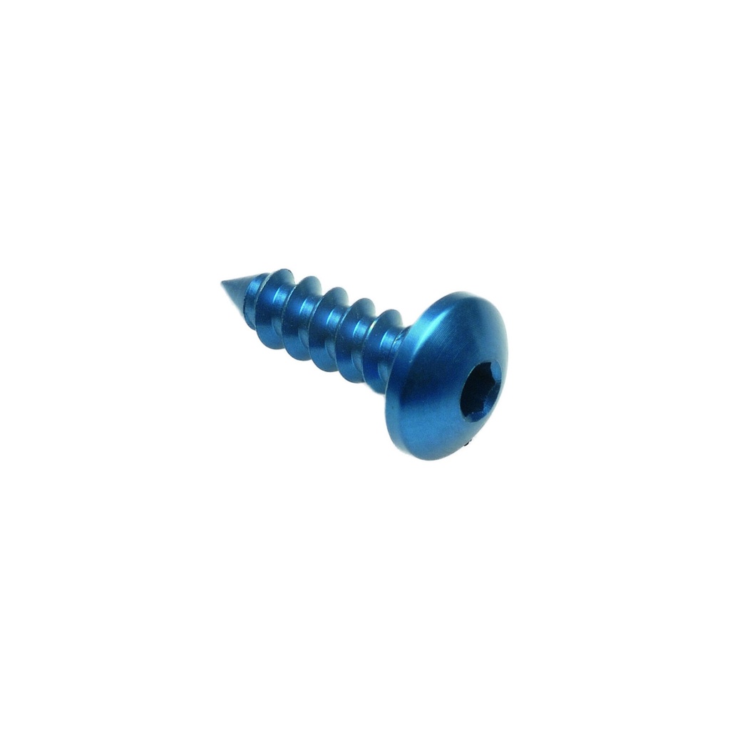 [LT-PAC24513NER] Self Tapping Screw 002 D=4,5x13 Ergal (Nero)