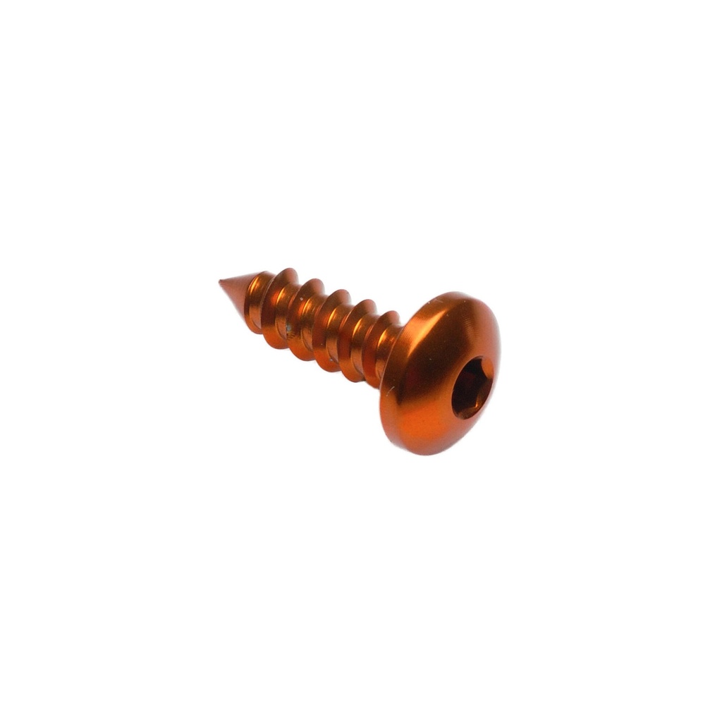 [LT-PAC24513ORO] Self Tapping Screw 002 D=4,5x13 Ergal (Oro)