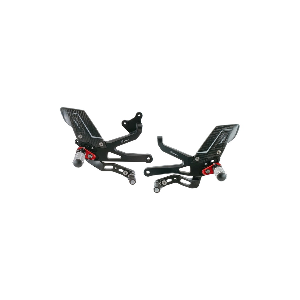 [LT-FTRDU012R] R Version Rear Sets for Ducati