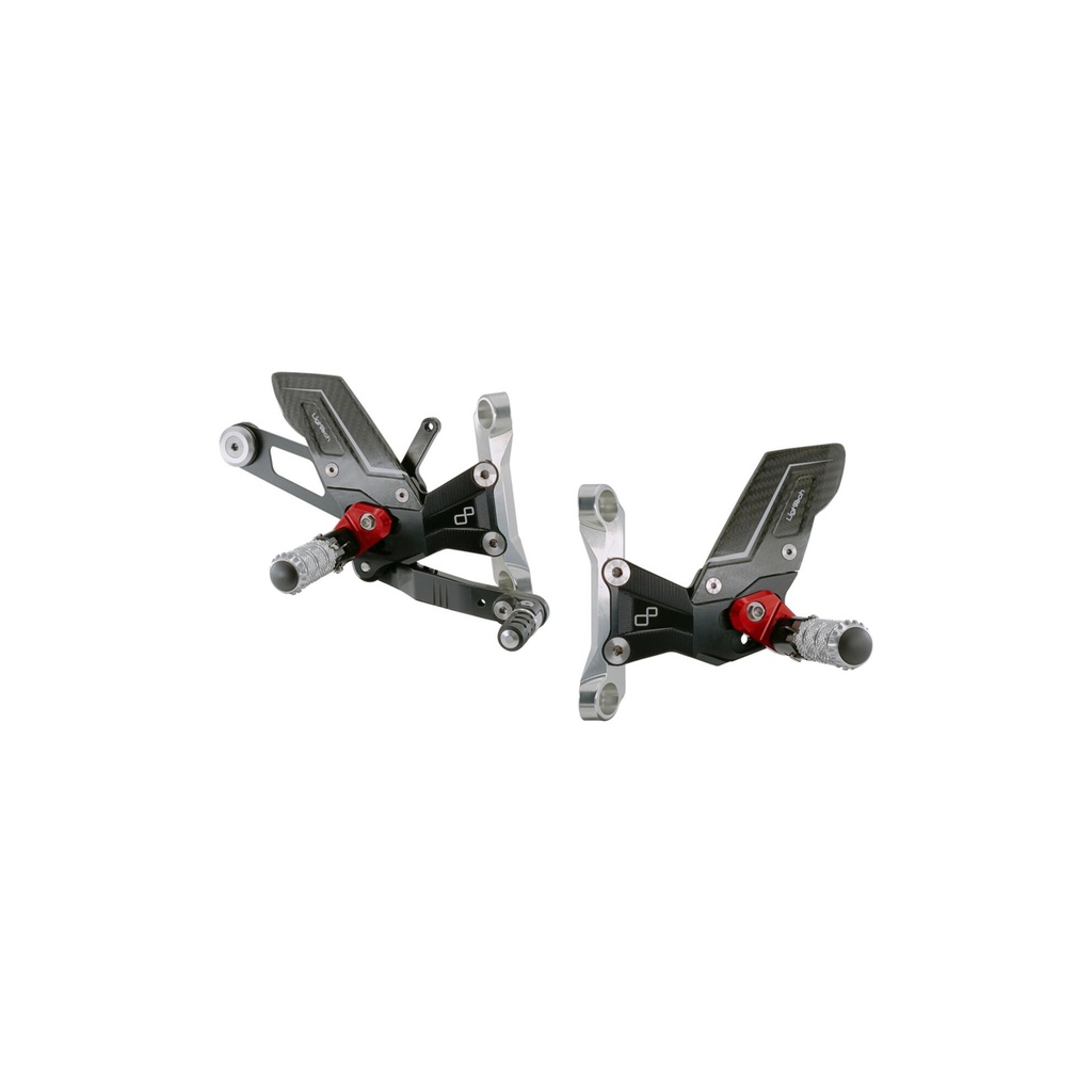 [LT-FTRBM008R] R Version Rear Sets for Bmw