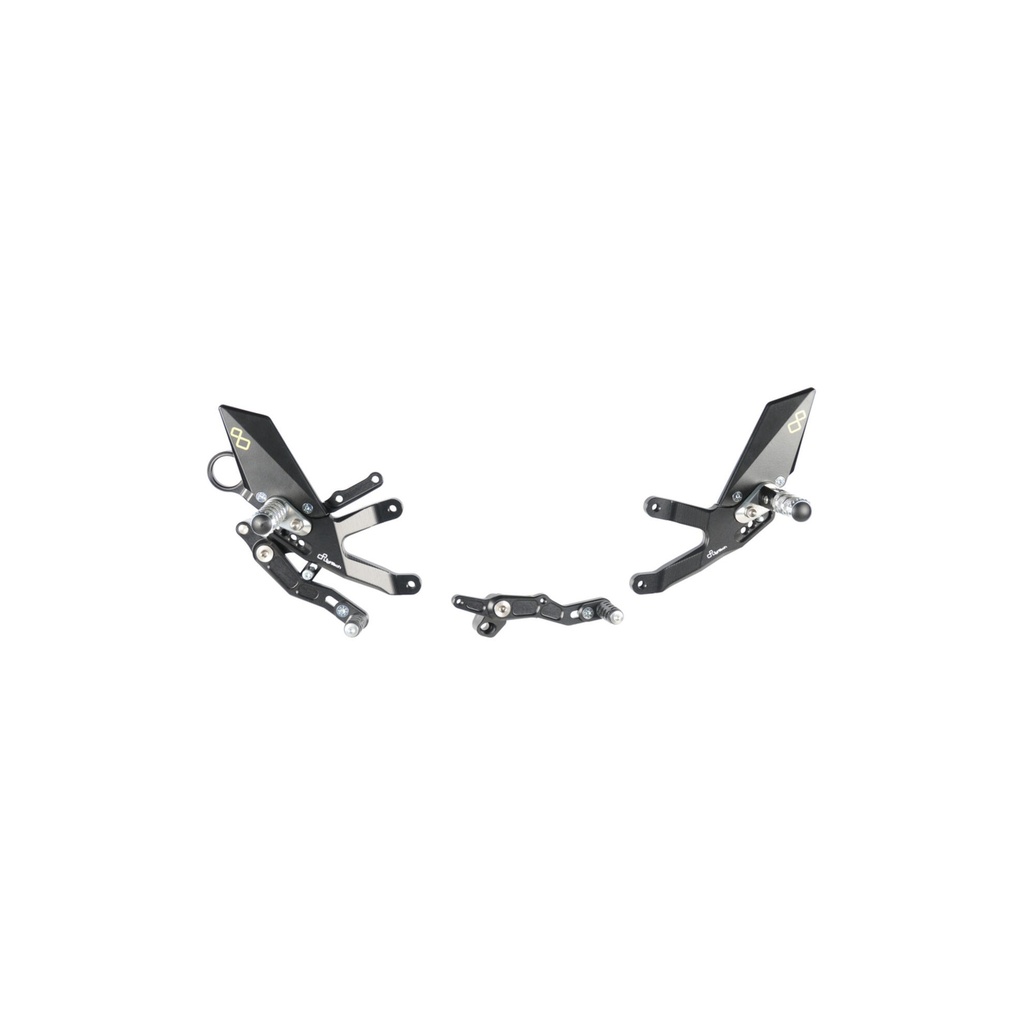 [LT-FTRBM004W] Adjustable Rear Sets With Fold Up Foot Pegs for Bmw