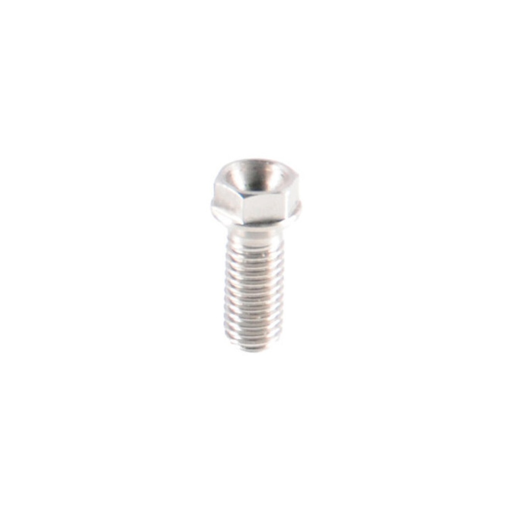 [LT-FTR690] Special Still Screw  For Rear Sets M8x20