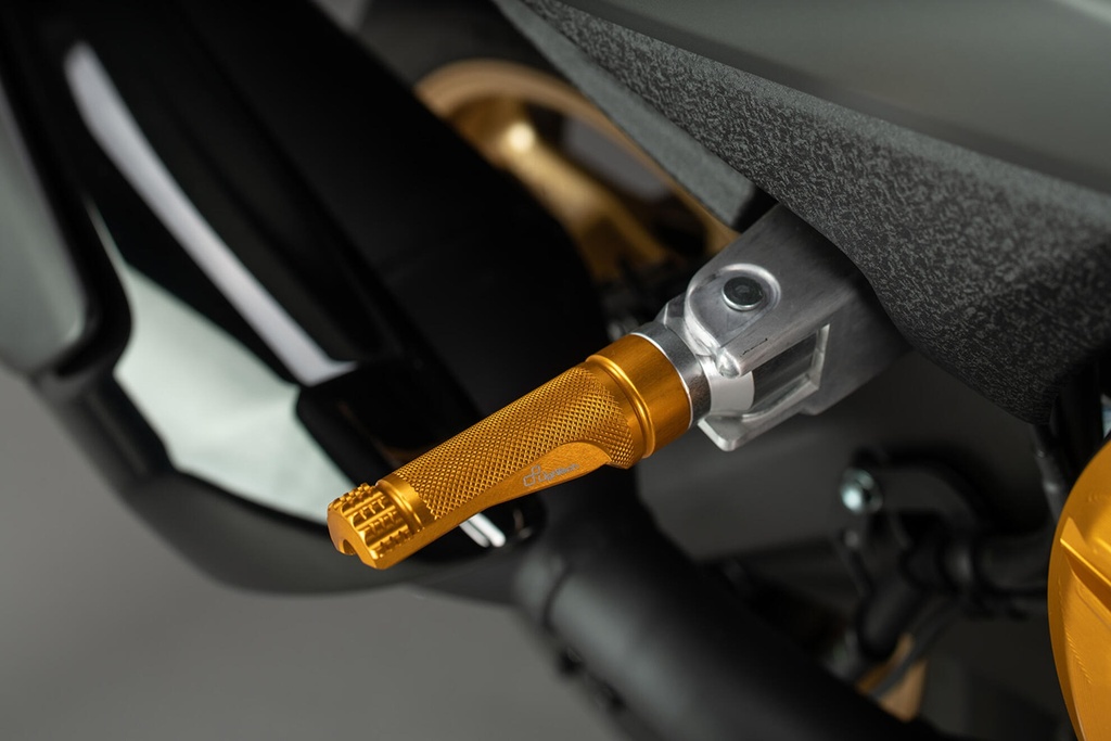 FTP100ORO_MOUNTED_3.jpg
