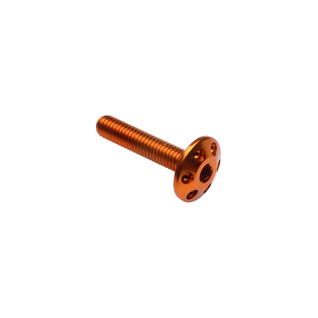 [LT-FORM625ORO] Drilled Screw M6 X 25 (Oro)