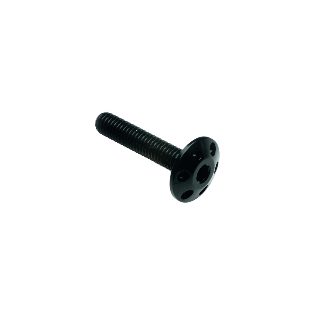 [LT-FORM615NER] Drilled Screw M6 X 15 (Nero)