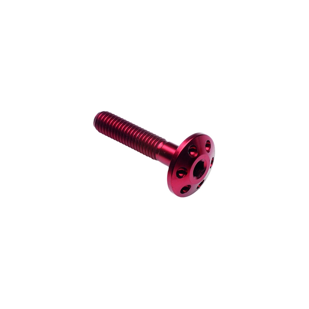 [LT-FORM520NER] Drilled Screw M5 X 20 (Nero)