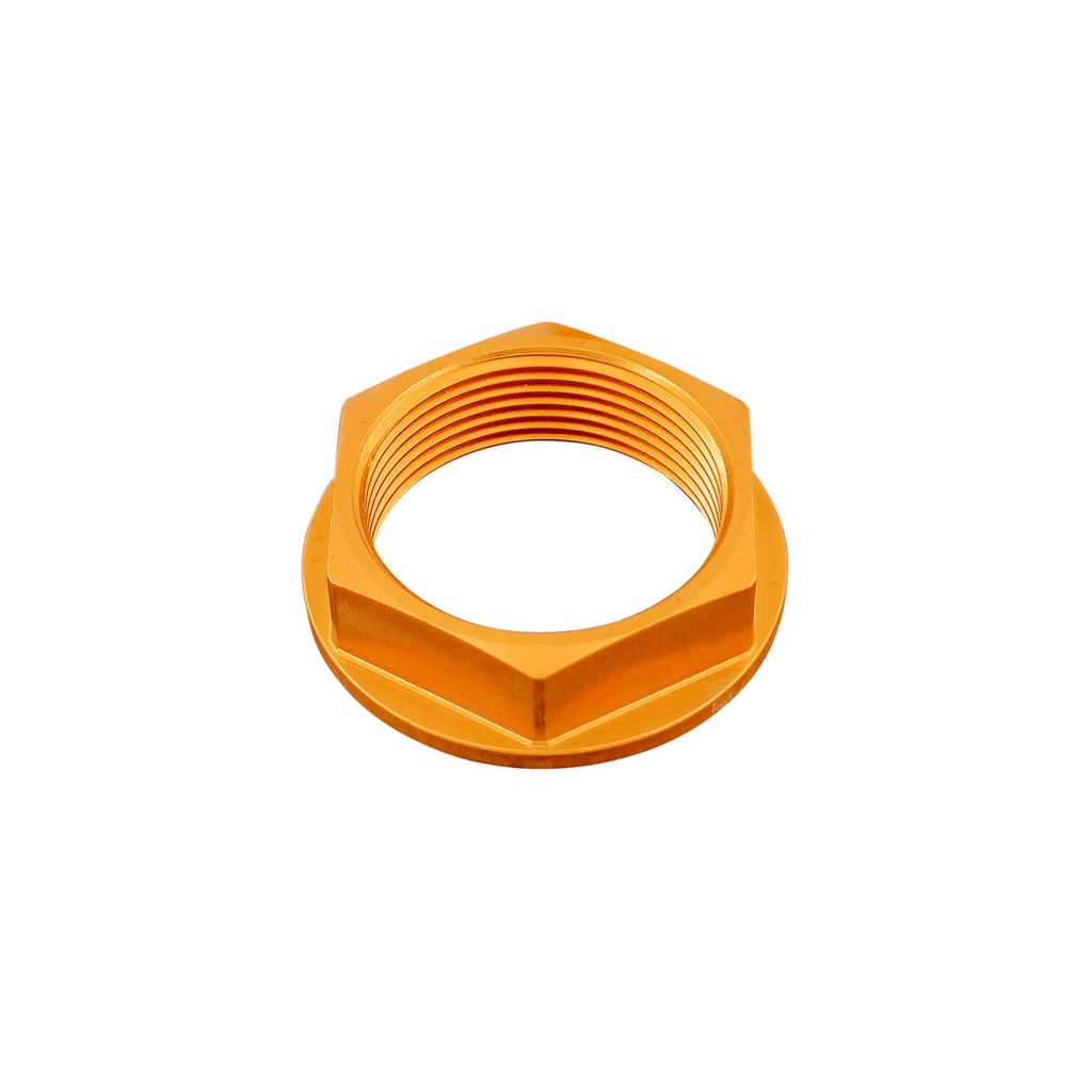 [LT-D019ORO] Special Nut25 X 1,25 Ergal for Mv Agusta, Ducati (Oro)