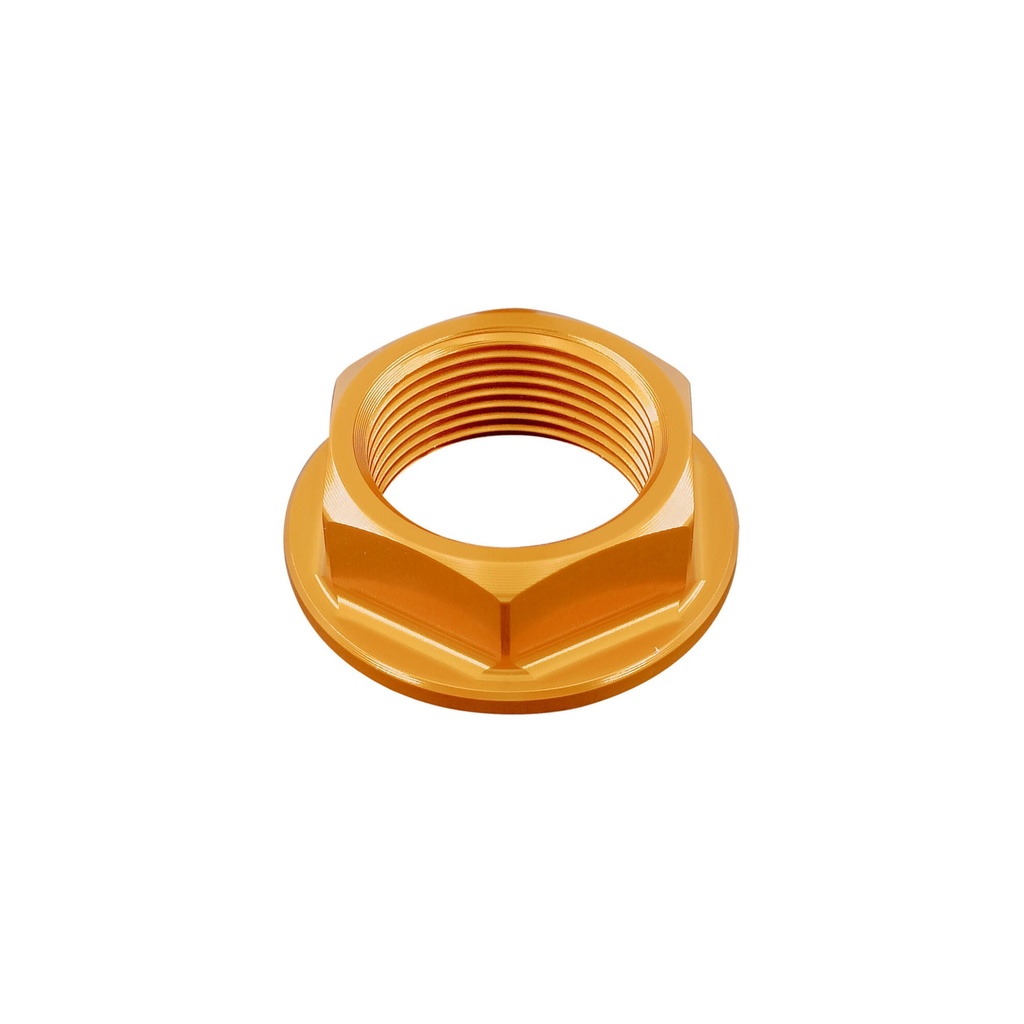 [LT-D001ORO] Special Nut25 X 1,50 Ergal for Suzuki, Aprilia (Oro)