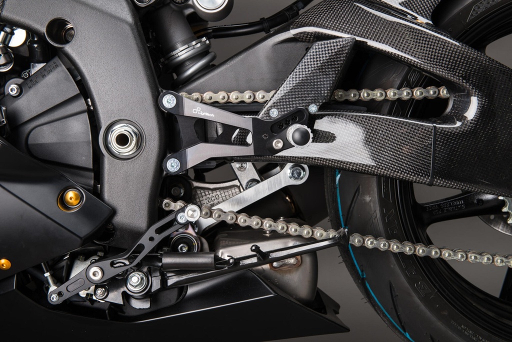 CARY9961_MOUNTED_1.jpg