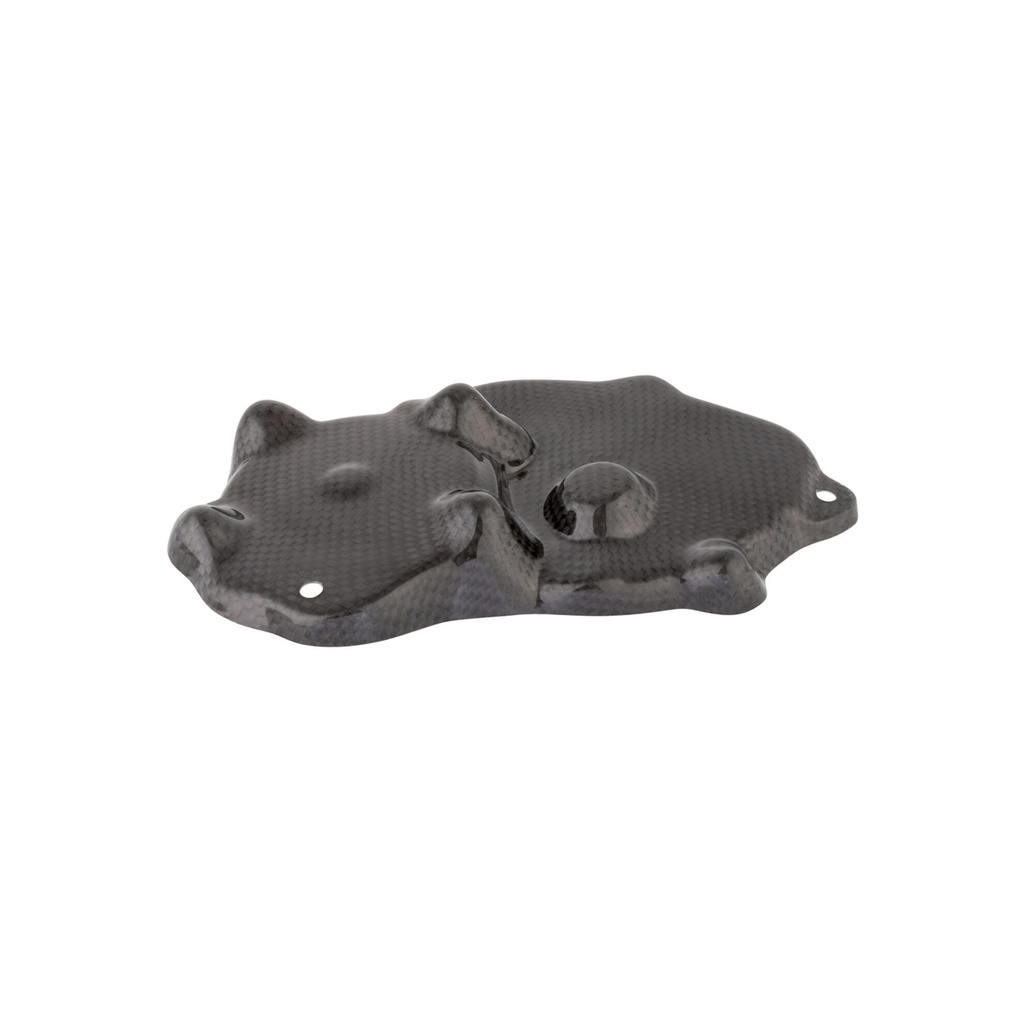 [LT-CARK9518] Carbon Pick Up Cover for Kawasaki