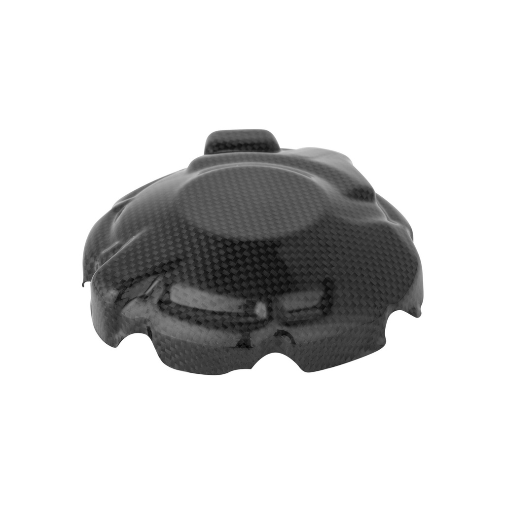 [LT-CARH1740] Carbon Electric Cover for Honda
