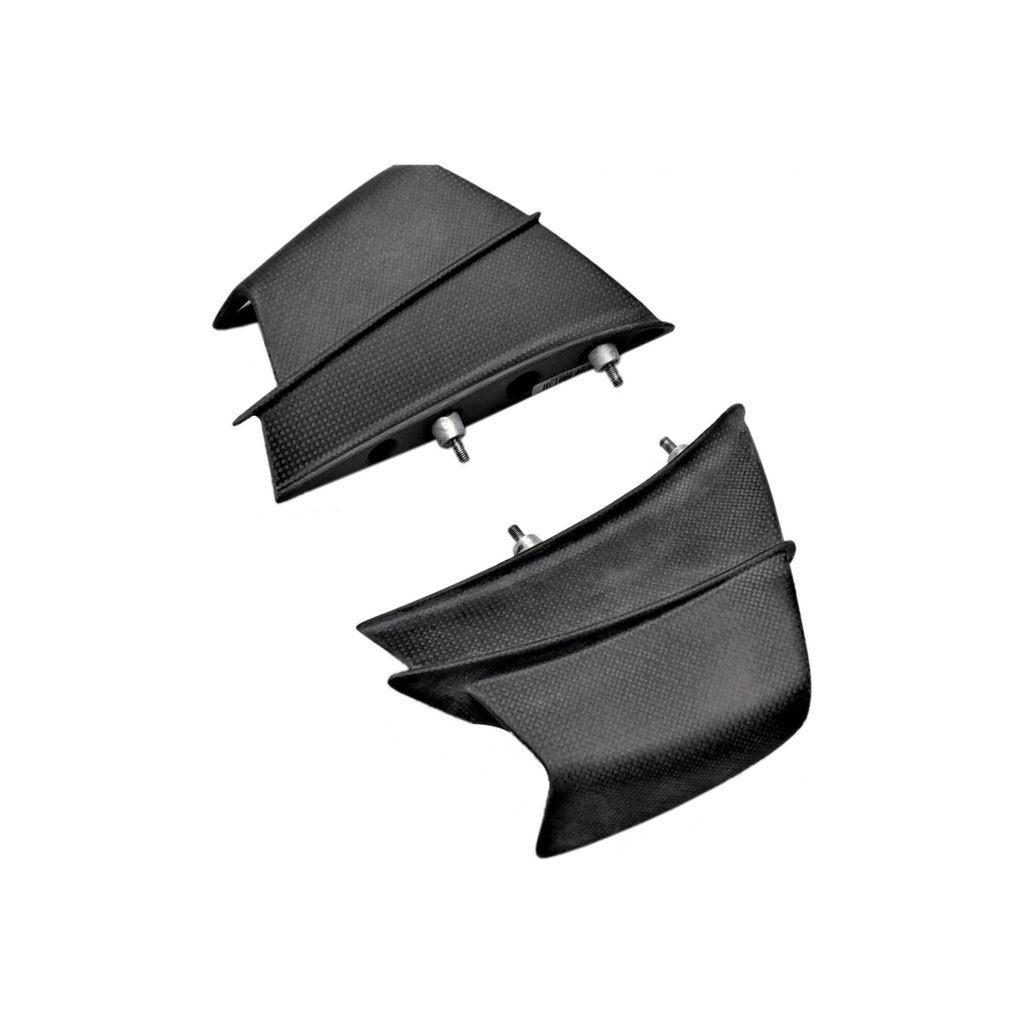 [LT-CARD0815] Lateral wings (pair) for Ducati