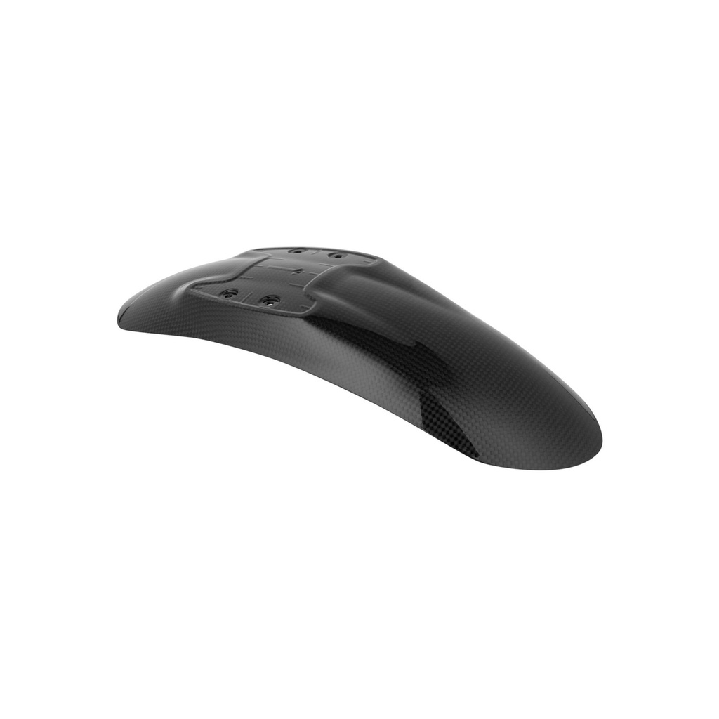 [LT-CARB2210] Carbon Front Mudguard With Upper Fitment for Bmw