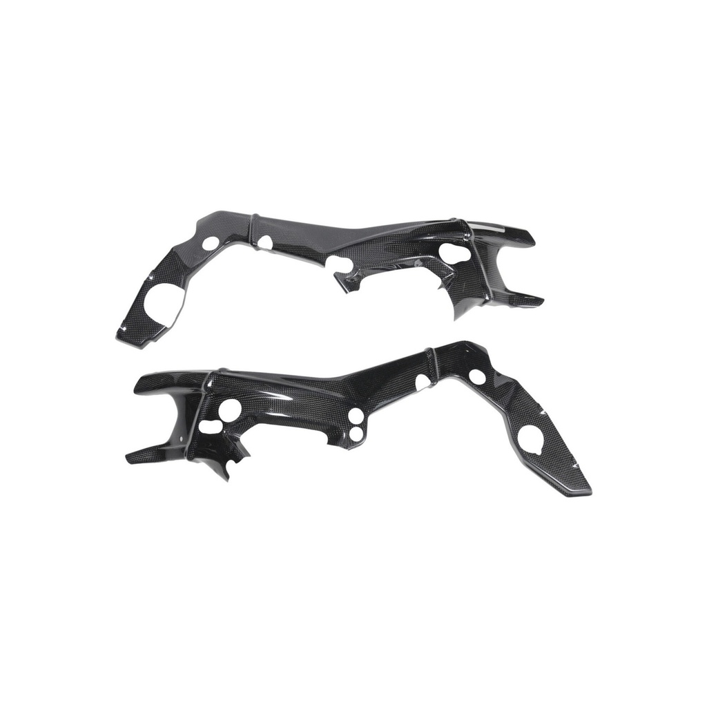 [LT-CARB1950] Carbon Frame Protections (Pair) for Bmw