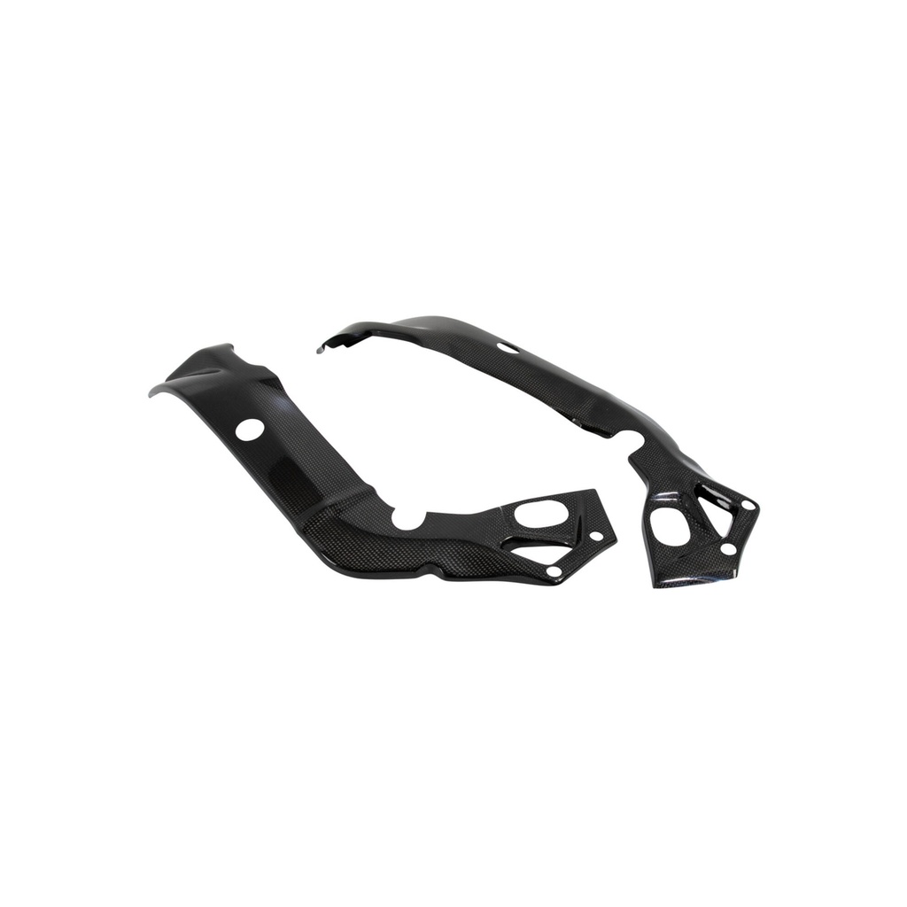 [LT-CARB1051] Carbon Frame Protections (Pair) for Bmw