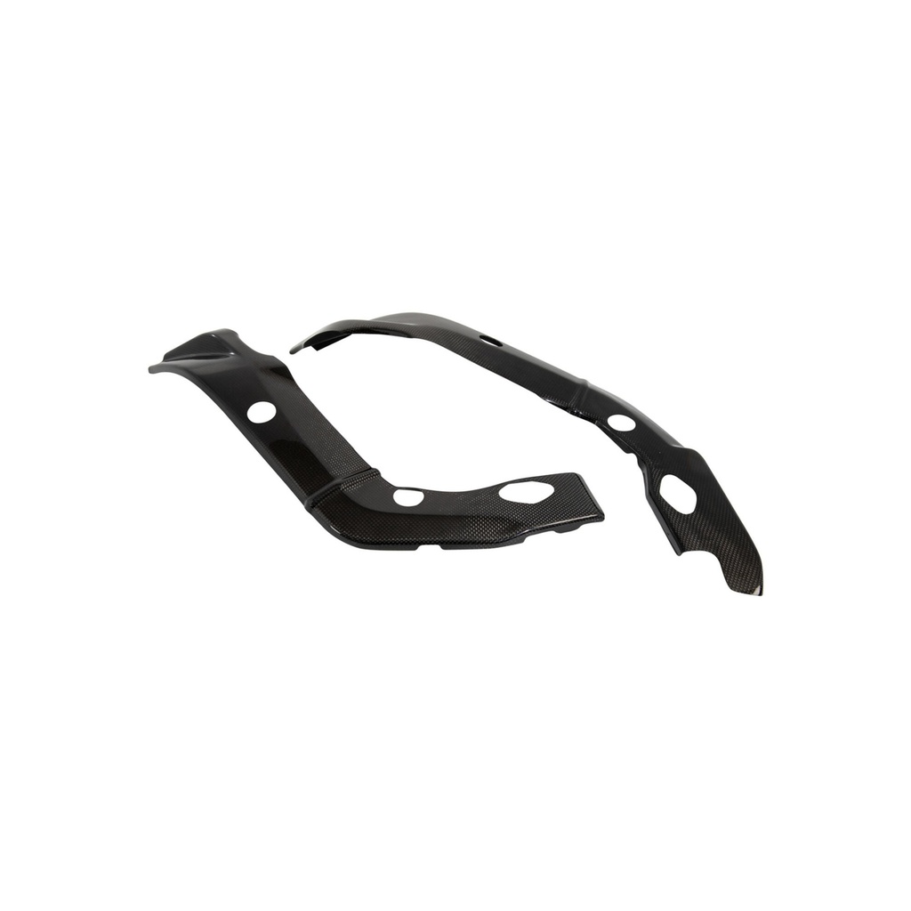 [LT-CARB1050] Carbon Frame Protections (Pair) for Bmw