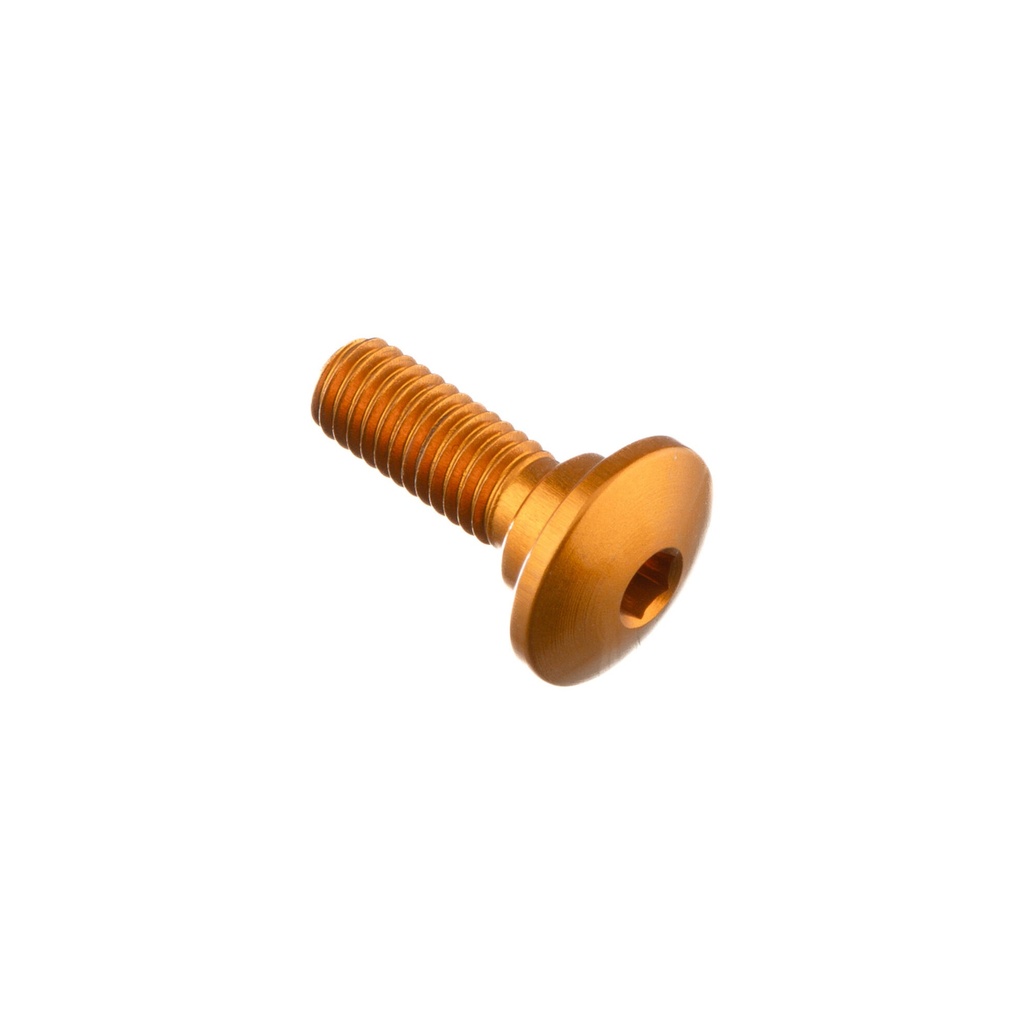 [LT-999ORO] Special Screw M5 X 15 + Smooth Part D7 X 2,5 (Oro)