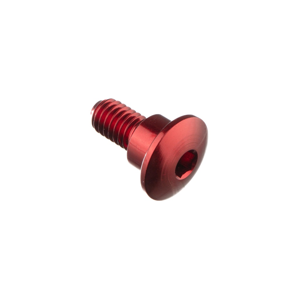 [LT-997NER] Special Screw M6 X 15 + Smooth Part D8,9 X 5 (Nero)