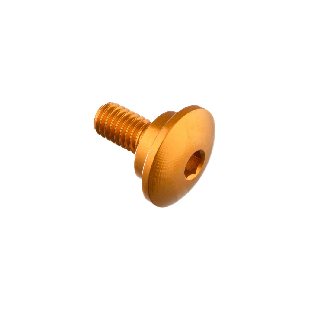 [LT-995ORO] Special Screw M6 X 14,5 + Smooth Part D11,9 X 3,5 (Oro)