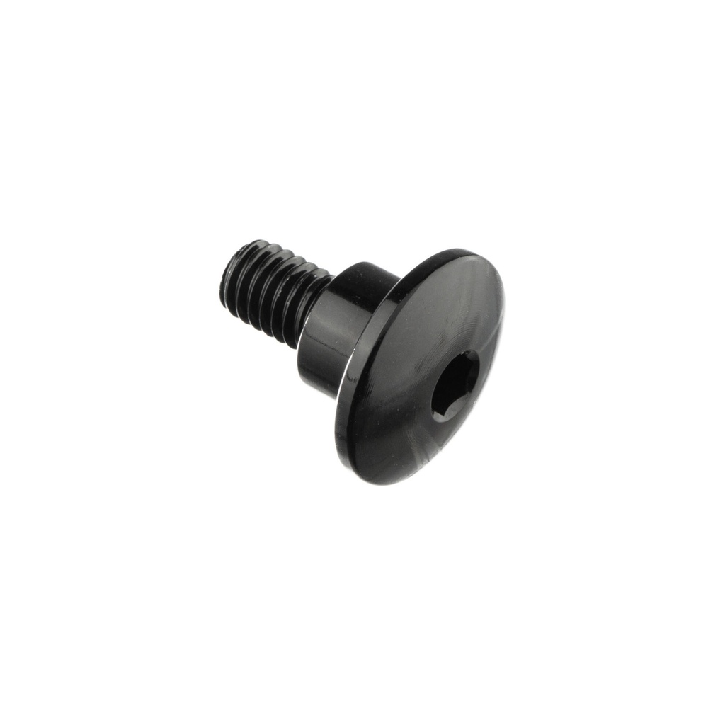 [LT-994NER] Special Screw M6 X 14,5 + Smooth Part D9,4 X 6 (Nero)