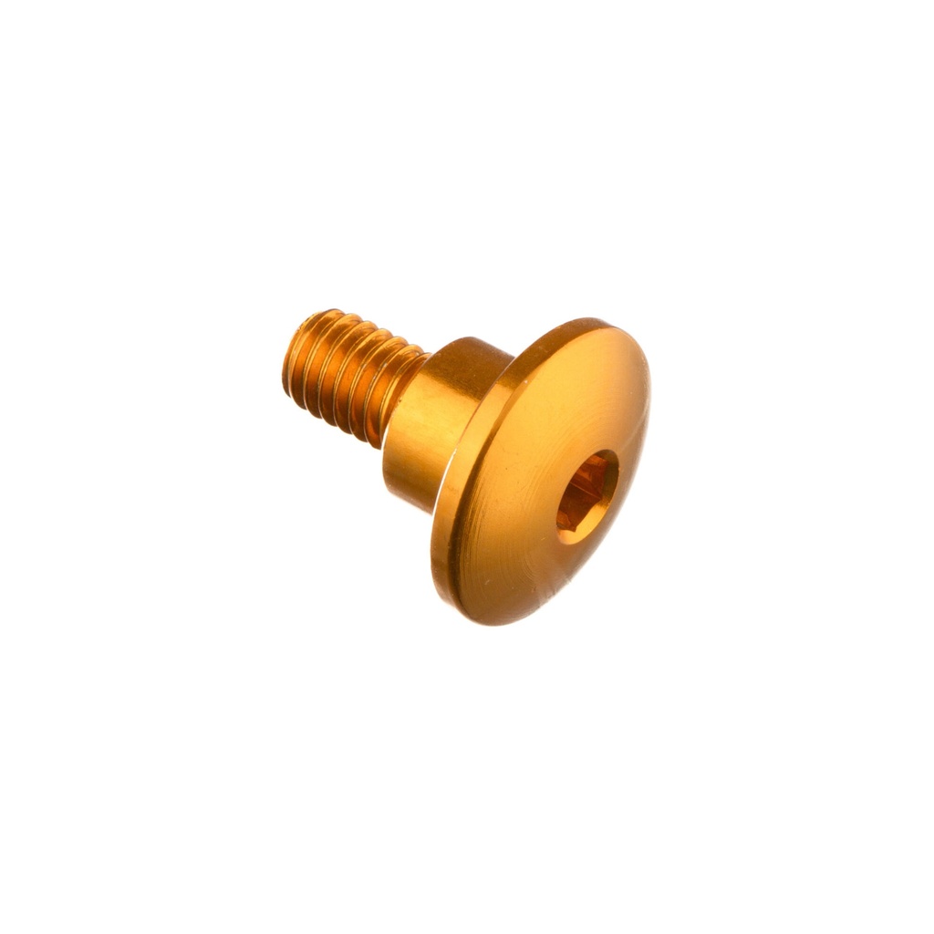 [LT-994ORO] Special Screw M6 X 14,5 + Smooth Part D9,4 X 6 (Oro)