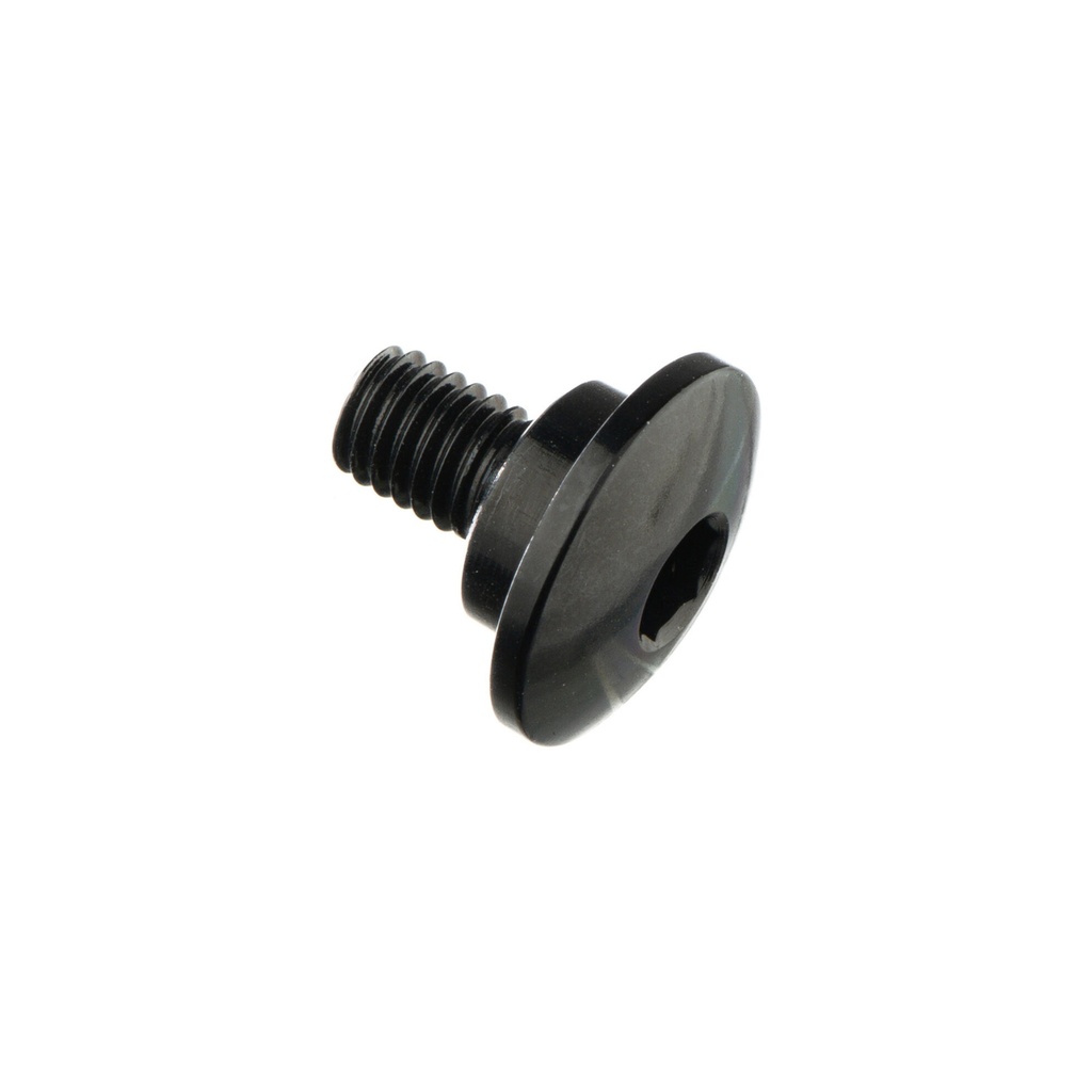 [LT-993NER] Special Screw M5 X 10 + Smooth Part D8,9 X 3 (Nero)