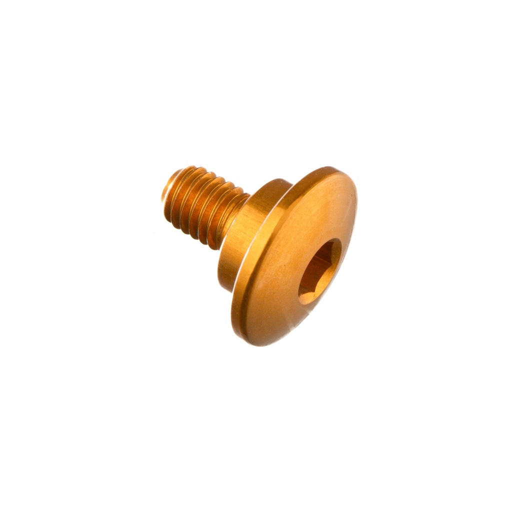 [LT-993ORO] Special Screw M5 X 10 + Smooth Part D8,9 X 3 (Oro)