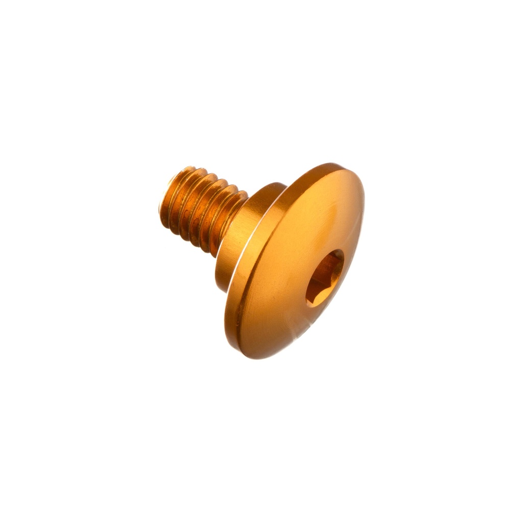[LT-992ORO] Special Screw M6 X 11 + Smooth Part D9,9 X 3,5 (Oro)