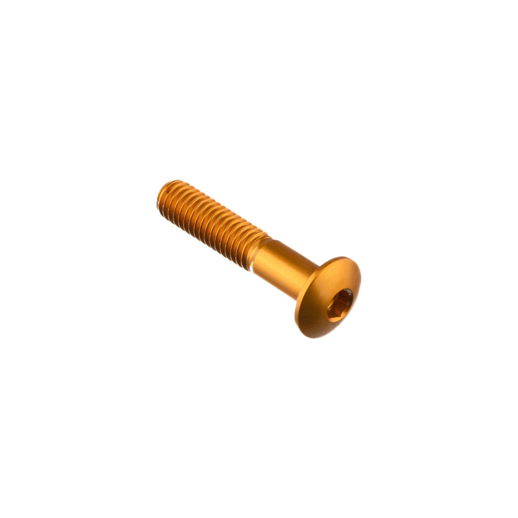 [LT-991ORO] Special Screw M6 X 30 + Smooth Part D6 X 11 (Oro)