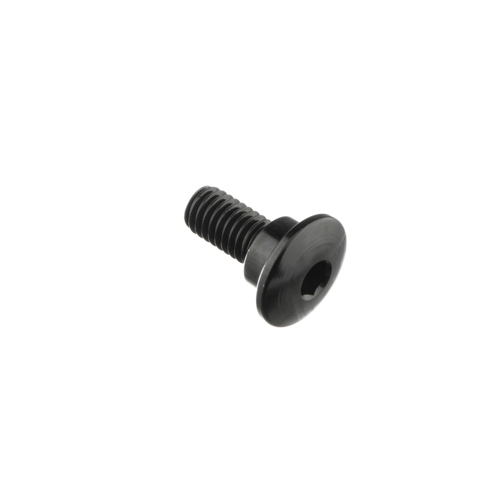 [LT-984NER] Special Screw M6 X 15 + Smooth Part D8,9 X 4 (Nero)
