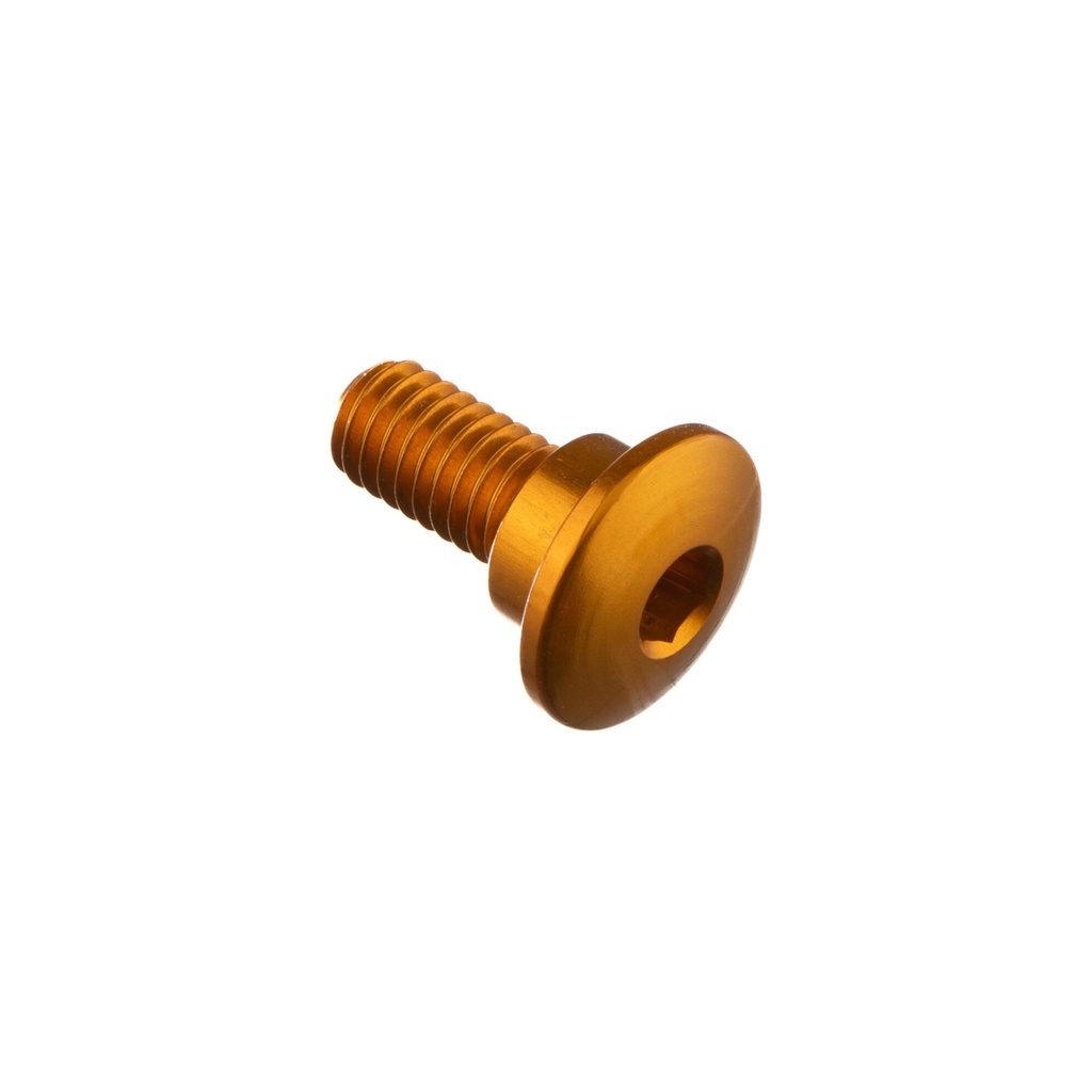 [LT-984ORO] Special Screw M6 X 15 + Smooth Part D8,9 X 4 (Oro)