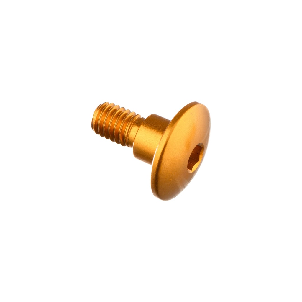 [LT-983ORO] Special Screw M6 X 15 + Smooth Part D7,9 X 6 (Oro)