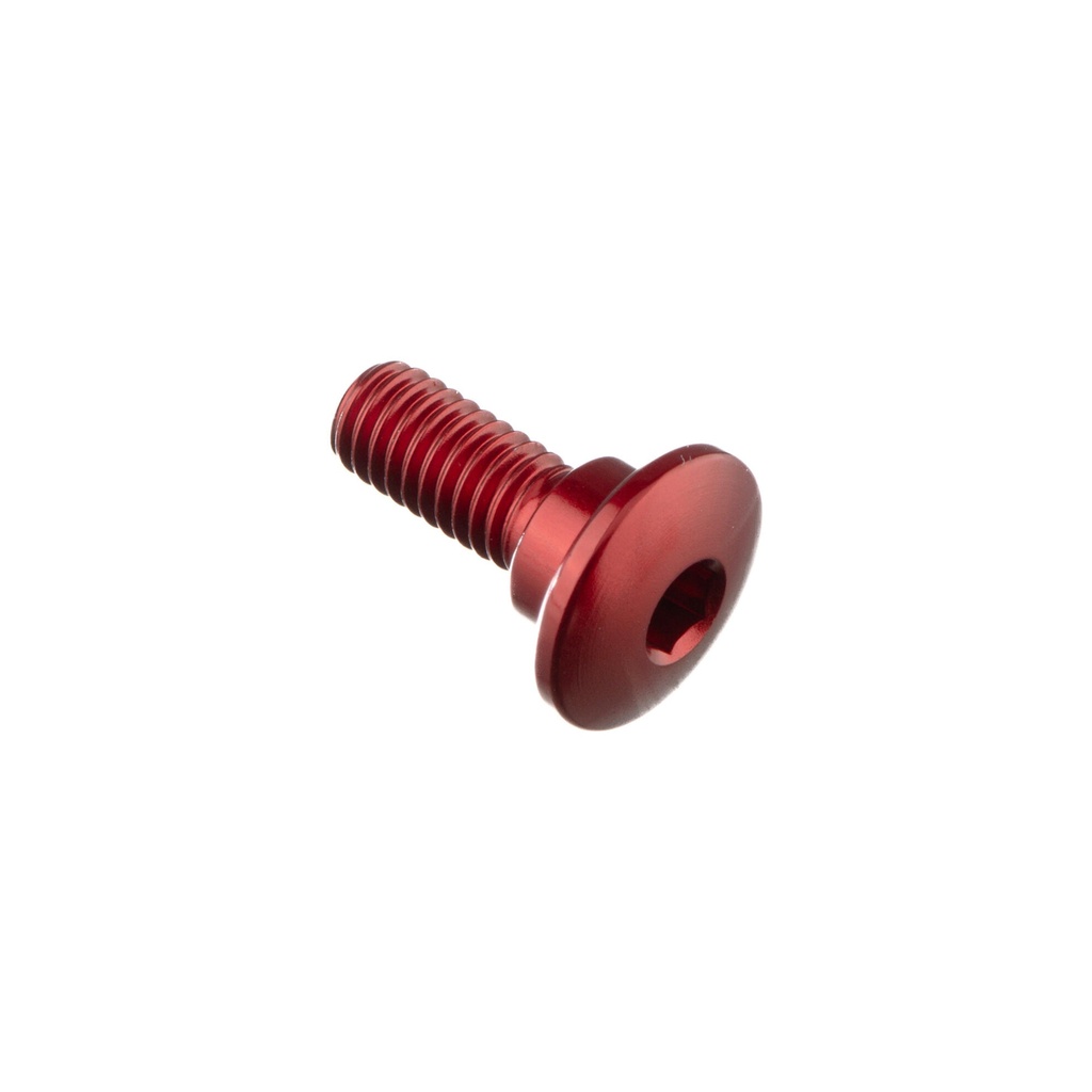 [LT-982NER] Special Screw M6 X 16 + Smooth Part D8,4 X 3,5 (Nero)
