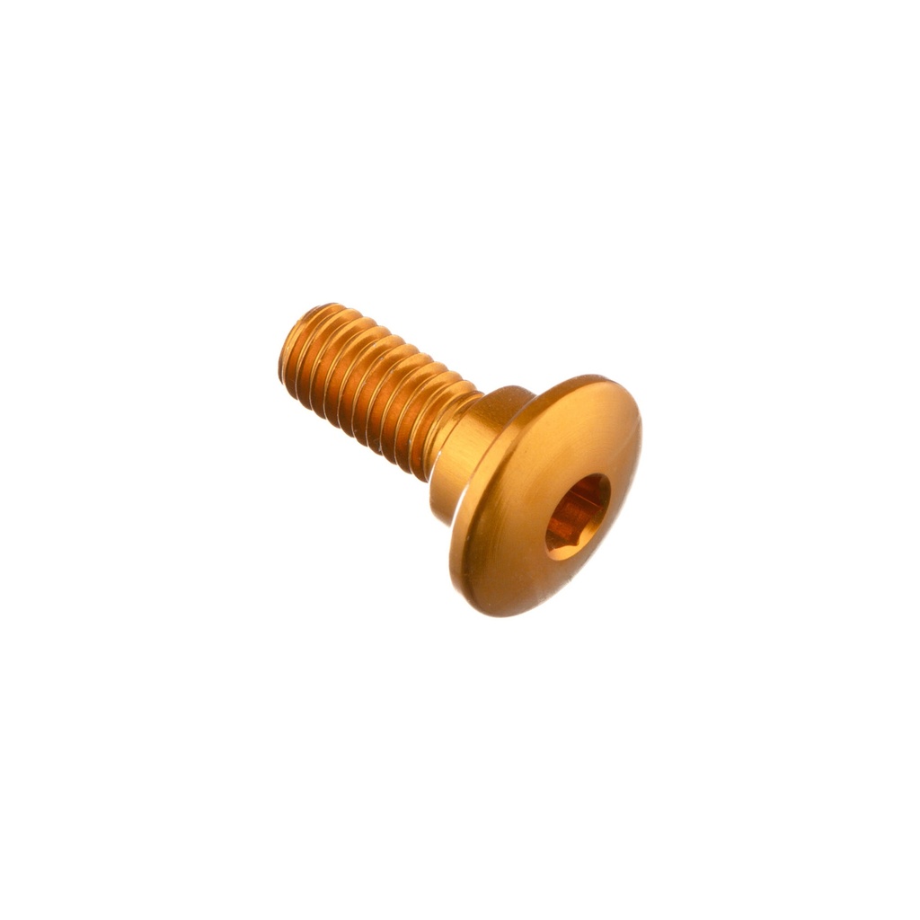 [LT-982ORO] Special Screw M6 X 16 + Smooth Part D8,4 X 3,5 (Oro)