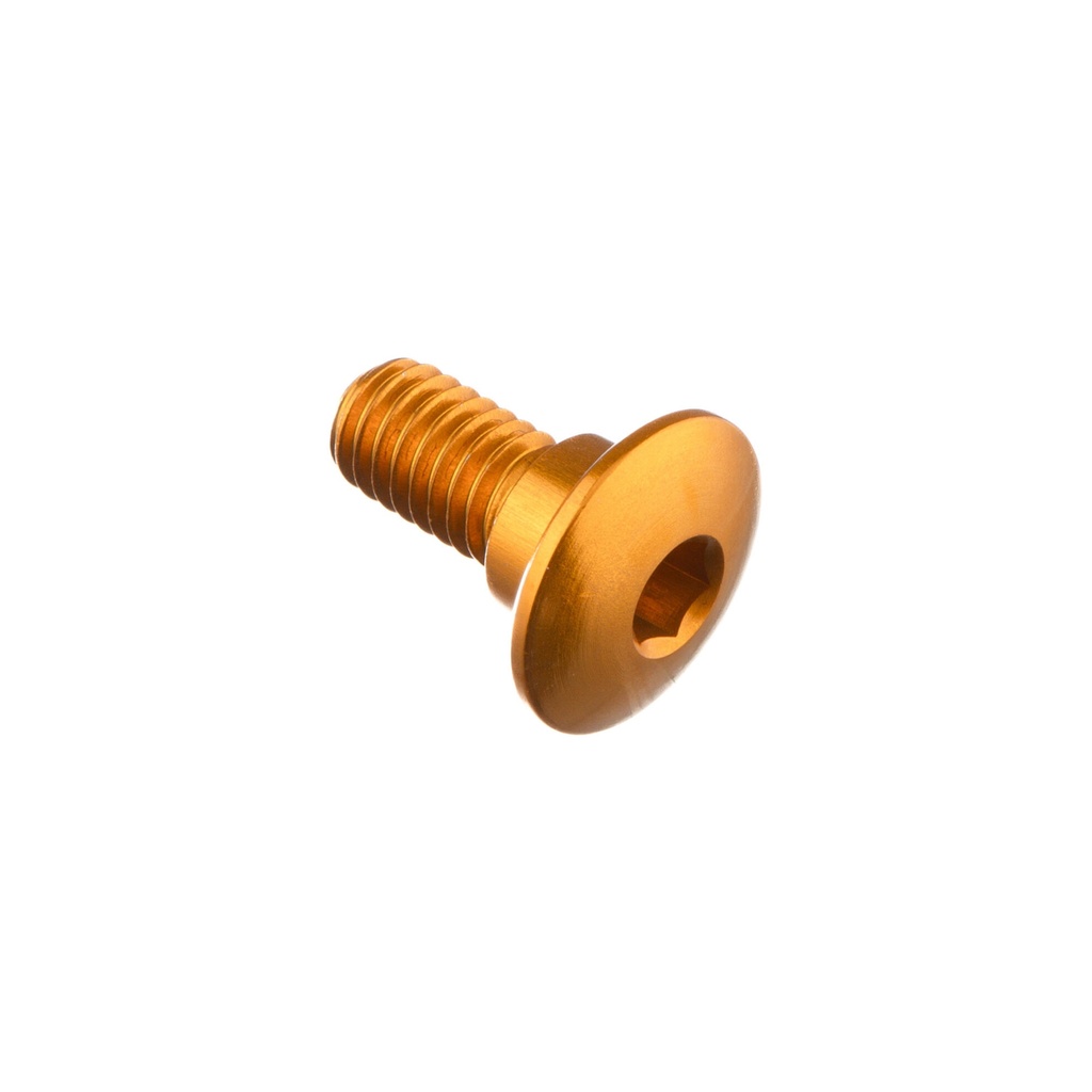 [LT-980ORO] Special Screw M6 X 14 + Smooth Part D7,9 X 3,8 (Oro)
