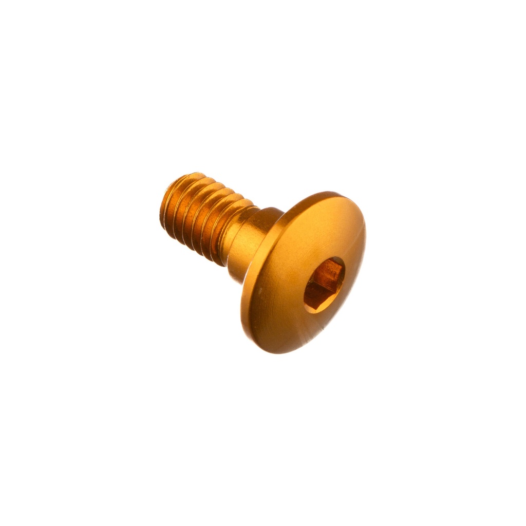 [LT-979ORO] Special Screw M6 X 13 + Smooth Part D6,9 X 4,4 (Oro)