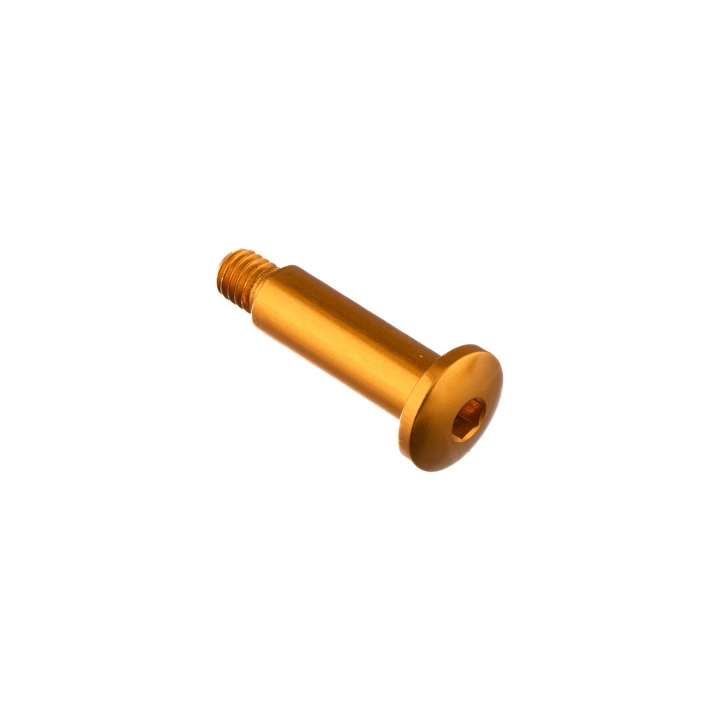 [LT-977ORO] Special Screw M6 X 30,5 + Smooth Part D8 X 23,5 (Oro)