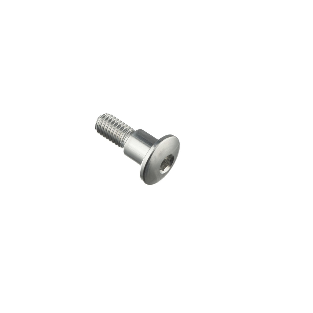 [LT-976NER] Special Screw M6 X 19 + Smooth Part D7,9 X 8 (Nero)