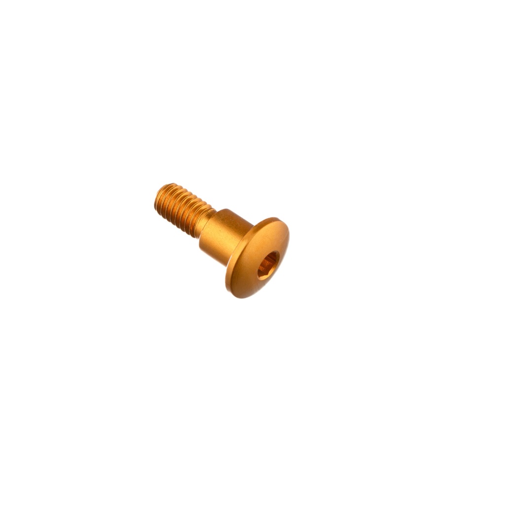 [LT-976ORO] Special Screw M6 X 19 + Smooth Part D7,9 X 8 (Oro)