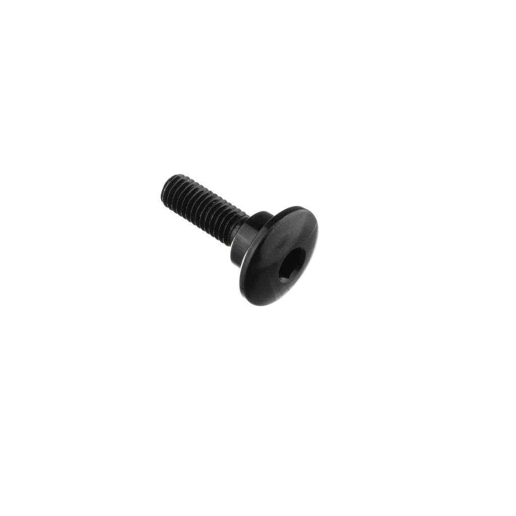 [LT-962NER] Special Screw M5 X 17,8 + Smooth Part D8,1 X 3,7 (Nero)