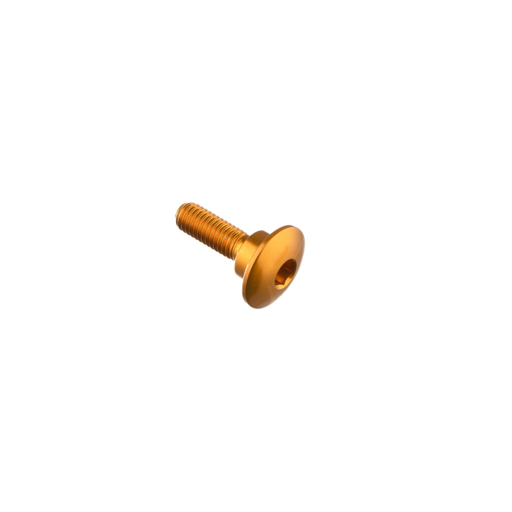 [LT-962ORO] Special Screw M5 X 17,8 + Smooth Part D8,1 X 3,7 (Oro)